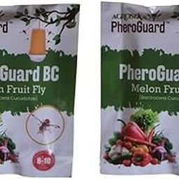 BC Bactrocera Cucurbitae Lure | Melon Fruit Fly Control Pack of 10 | & | BC Bactrocera Cucurbitae Lure | Melon Fruit Fly Control for Agriculture Pack of 20-image-13