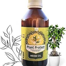 Joyherb Plant Protect Water Soluble Neem Oil Concentrate for Plants | Herbal Pest Repellent | Indoor and Outdoor Organic Gardening | Make upto 50 Neem Spray Bottles - 200ml-image-37