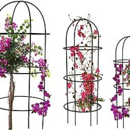 Dime Store Plant Support Climber Extension for Plant Stand Flower Pots for Home Balcony Indoor Outdoor Plants Home Decor Item (Set of Three, Black)-16