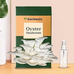 Gachwala Ready-to-Harvest Mushroom Growing Kit 1.8 Kg with Free Spray Bottle| Easy-to-Grow Mushrooms at Home | Includes Nutrient-Rich Substrate | Perfect for Indoor Gardening & Culinary Adventures-10