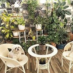 WildMonk? Wicker Patio Furniture Sets for Garden Balcony Outdoor Coffee Chair Table Set 2+1 | Cushion | Powder Coated | UV Protected | Conversation Set | Poolside Lawn Chairs (Off White)-image-44