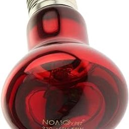 CALANDIS™ Glass Pet Heating Infrared Lamp Winter Heat Emitter Lamp Bulb E27 Red 50W-image-75