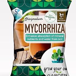 Shiviproducts Organic Mycorrhizal Biofertilizer VAM fungi (900gm) | Essential Fertilizer for Root Growth and Plant Transplant | For Home Gardening Vegetables and Flowering plant-image-99