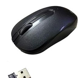 Quantum-QHM271 Wireless Optical Mouse (2.4GHz Wireless, Black)-picture-27