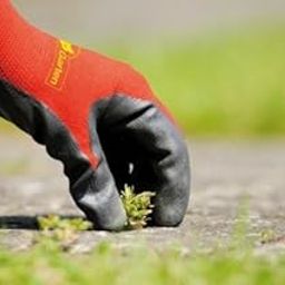 wolfgarten Polyester Blend Soil Care Garden Gloves (Red And Black, Medium, Pair of 2)-image-35