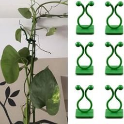 Beeya Gardening® 25 Pcs Plant Support Clips for Climbers | Wall-Mounted Climbing Plant Clips | Use for Indoor Gardens | Multi-Use | Height 18 CM-picture-11