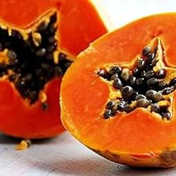 F1 Hybrid red lady papaya seeds/papaya seeds 50-image-75