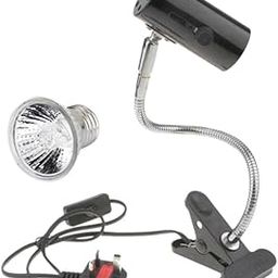 BNF® 220V Reptile Lamp UVB/UVA Basking Light Halogen Bulb E27 UK Plug Black 100W|Pet Supplies | Reptile Supplies| 1 Piece Reptile Lamp Holder1 Piece UVB/UVA Light Bulb-picture-15