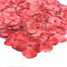 CBM Craftara by Monika Hydrangea Dried Flower Red for Resin Natural Pressed Assorted Colorful Flowers for DIY Jewelry Molds Art Crafts Scrapbooking Candle Soap Making Nails Décor-image-93