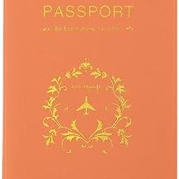 Ticket Card Protector Passport Organizer Holder Travel Accessories Orange-image-81