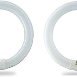 BULBMASTER FC8T9/CW 22W 22W 8" T9 Cool White Round Fluorescent Circular Light Bulb 4100K 1120 Lumens 4 Pin Cap 22W-image-36