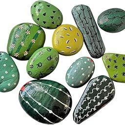 R&M 11 Cactus Plant Painted Design River Pebbles Rock Stone-image-13