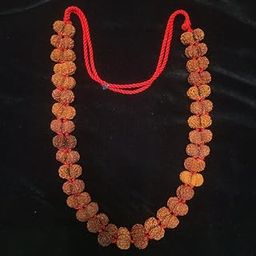 Astro Cart Gori Shankar Rudraksha Mala रुद्राक्ष माला Original Nepali Brown Bead Gowri|Gauri Shankar Rudraksha Mala with IGL Certificate गौरी शंकर रुद्राक्ष Blessed Shiva Parvati for Sawan Puja-image-34