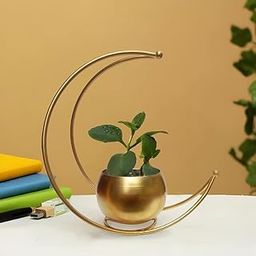 Half Moon Design Flower Pot Stand Gold Metal Flower Vase for Home and Office Side Table Decoration - Pack of 1 (24x24 CM Centimeters)-17