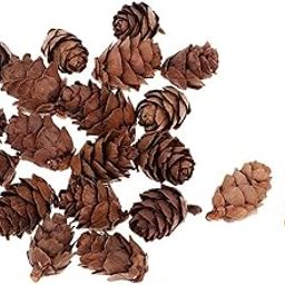 BNF®50 Pieces Mini Decorative Pinecone Pine Cones for Vase Bowl Filler Displays Crafts Home Christmas Table Decoration 20mm|50 Pieces Natural Pine Cones-image-66