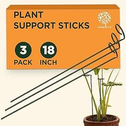 GOLD DUST Plant Support Sticks, 18 Inch (1.5 Ft Pack of 3), Plant Supporter, Garden Stakes for Plants, Home Garden Accessories, Climber Support for Plants, Money Plant Support Stick-image-51