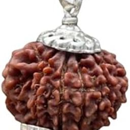 Rare Quality 9 Mukhi Rudraksha Silver Capped 9 Face Rudraksha Brown Beads Nine Mukhi Rudraksha Nepal Silver Pendant Nav Mukhi Rudraksha For Worship Purpose 9 मुखी रुद्राक्ष नेपाली ओरिजनल-image-34
