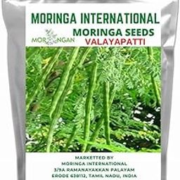 VALAYAPATTI MORINGA SEEDS 1 KG Pack - MORINGA INTERNATIONAL (2 kg)-image-87