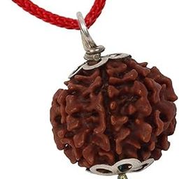 original 6 Mukhi Pure Rudraksha, Laboratory Certified.-picture-47