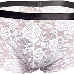 Men's Nylon Lace Full Coverage Hipster Brief Underwear-picture-13