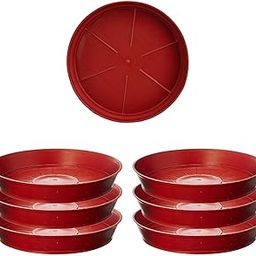Cinagro Plant Saucer (10 Inch - Pack of 6) Heavy Duty Plastic Plant Water Tray, Planter Drip Trays for Pot, Flower Saucers for Indoors-image-10