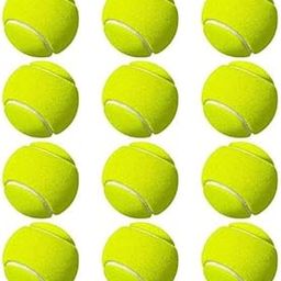 YBN 12 Pcs Light Weight Multi Color Tennis Cricket Ball Rubber Ball for Cricket Training-image-84