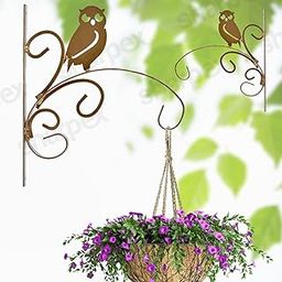 Sharpex Wall Mounted Metal Bracket | Decorative Wall Hook Plant Hanger for Hanging Pots, Bird Feeders, Flower Baskets, Planters, Lanterns, Lamps, and Wind Chimes for Indoor/Outdoor Use (Gold, 2 Pc)-picture-18