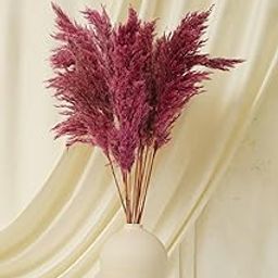 Purezento Pink Wheat Dried Flower Delight for Home,Office or Living Room |Diwali Decoration ,Feathery Texture Finish Festival Decor with Natural Golden Beauty(Set of 5)(Vase Not Included)-27
