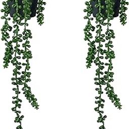 Tdas Plastic & Tpe Artificial Succulent Plants Hanging Flowers Home Decor Items Plant Leaves For Living Room Hall Decorative Decoration Office In Pot (Green, 2-Pcs Hanging Succulent With Pot)-image-2
