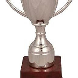 TROPHY JUNCTION Metallic-Fiber Silver Open Cup Trophy (Silver, 19 cm)-picture-22