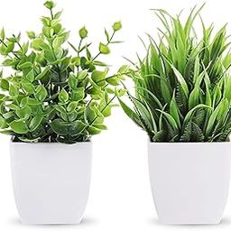 WYTE ORIGIN Artificial Potted Plants, Green Artificial Plastic Eucalyptus Plants Small Indoor Potted Houseplants, Small Faux Plants for Home Decor Bathroom Office Farmhouse. (Set-2)-image-67