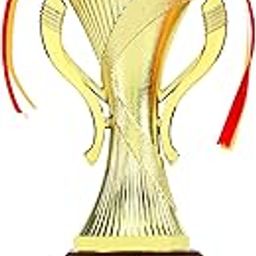 Aark India Trophy for Star Performer/Winner/Target comleted/Sports/cometition/Tournament Trophies Awards (PC002324)-image-72