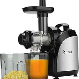 ANEUHS Slow Juicer Machines, Slow Maicating Juicer Extractor, Quiet Motor & Reverse Function, Preserves Nutritional Value, BPA-Free, ld Press Juicer, Juice Recipes for Vegetables and Fruits (Silver)-image-35