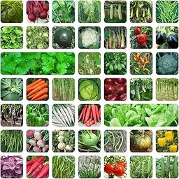 45 Variety Of Organic Vegetable Seeds | Home Garden | Indoor-Outdoor Plants | Terrace Garden-image-5