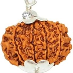11 Mukhi Rudraksha Original Certified Nepali 22mm Pendant 11 Face Rudraksha Nepal Hanuman Rudraksha Gyarah Mukhi Rudraksha 11 मुखी रुद्राक्ष 11 Mukhi Original Nepali Rudraksha by Certified Gems-38