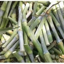 Super napier stick (10 pc)-image-79