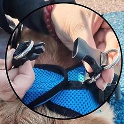 The Style SutraDog Wheelchair for Back Legs Metal Dog Wheelchair Cart for Small Pets (Blue) M|Pet Supplies|Pet Supplies|Pet Supplies-image-16
