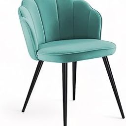 Finch Fox® Blake Luxurious Home Collection Dining Room Chairs in Pista Velvet Material & Stylish Design with Black Metal Powder Coated Legs-picture-25