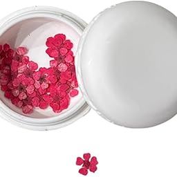 Pink Plum Blossom Dried Pressed Flowers for Resin Art | Pack of 27 Floral Decors for Jewelry, Candles, Nail Art, and Pendants-image-30