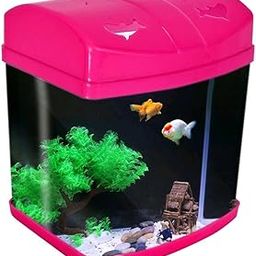 Beeta & Small Fish Tank,Plastic Desktop,Easy to Clean, Ideal for Home & Office/Colour as per Stock Availability-image-91