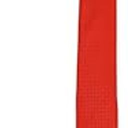 Men Orange Tie-image-56