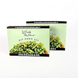 Earthy Element Microgreens DIY kit Pack of 2-image-37