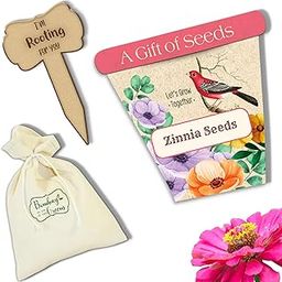 Bombay Greens flower Seeds Packet with Cotton Pouch and Plant Tag | Gardening Seeds | Flower Seeds for Home Garden| Flowers seeds for Terrace Garden - Zinnia-12