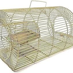 Iron Heavy Wire Rat Trap/Mouse Rat Catcher/Rat Cage/Chuha Pinjra/Cage for Catching Rat/Mouse/Squirrels/Rodent/Chipmunk - Big Size, Durable & Heavy Weight Large Rat Catchup Live Trap L2-picture-20