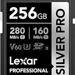 Lexar 256GB Professional SILVER PRO SDXC Memory Card, UHS-II, C10, U3, V60, Full-HD & 4K Video, Up To 280MB/s Read, for Professional Photographer, Videographer, Enthusiast (LSDSIPR256G-BNNNU)-29