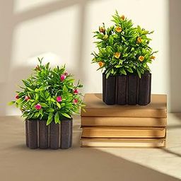 Set of 2, Artificial Flowers with Wooden Pot (17X9cm) | Small Potted Faux Plants | Fake Plants | Realistic Faux Floral Décor for Home & Office | Perfect for Every Occasions-18