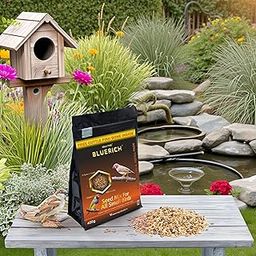 BLUERICH Natural & Healthy Premium Birds Food For Sparrow, Silverbill, Finches & Java | Daily Birds Food Seed Mix (450g)-image-81