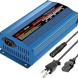 24V 8Amp Smart Automatic Battery Charger, Portable Battery Maintainer with XLR Connector for Car Boat Lawn Mower Marine Wheelchair Motorcycle eBike-11
