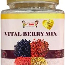 Vital Berry Mix Premium Trail Mix with Goji Berry, Blueberry, Cranberry, Pumpkin, Sunflower, Chia, Flex Seeds | 100g | On-the-Go Snack Pack | | 0 Transfat | Rich In Antioxidant-image-92