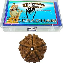 Nakshatra Craft Chakradharitm Panch 5 Mukhi Rudraksha Sinks In Water with Lab Test Certificate And Xray Report R5 (Brown)-picture-34